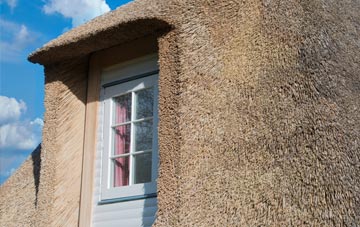 Inverarity thatch roof disadvantages